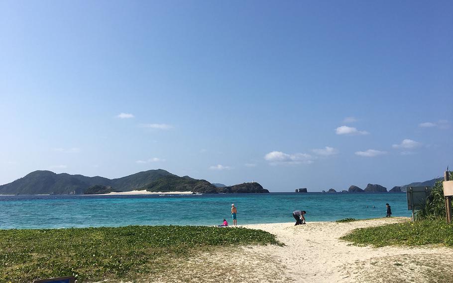 Zamami Island's Ama Beach, which is frequented by green sea turtles who come to graze on seaweed, is next to a campsite popular with foreign tourists.