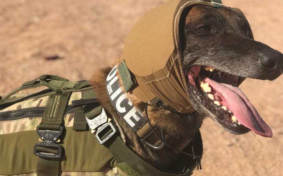 The Canine Auditory Protection System, known as CAPS, may prevent hearing loss in military working dogs. The system is being developed by the Army and biodefense and medical device company, Zeteo Tech.
