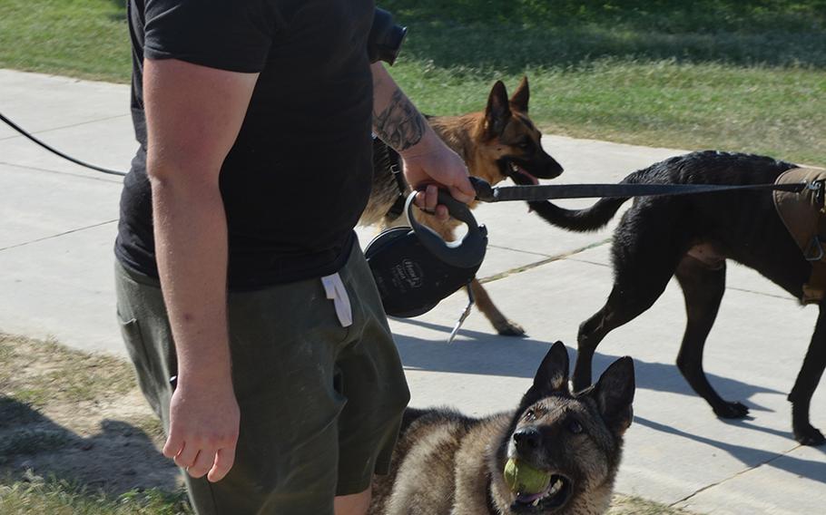 Army Sgt. Jake Ferkin adopted Iskra, his former military working dog after the dog's retirement last month. Ferkin said the 10-year-old German shepherd is still adjusting to retirement and tries to employ her training in explosives detection. 