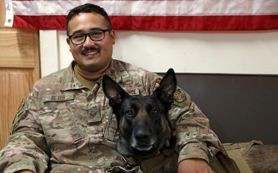 Air Force Staff Sgt. Juan Reyes sits with his military working dog partner Cvoky in Kuwait on June 16, 2020. The team visited Kuwait to seek treatment after Cvoky suffered a heat injury.