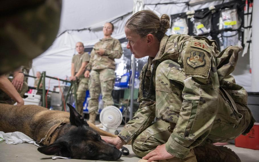 U.S. Air Force Senior Master Sgt. Jessica Fleschner comforts Cvoky, a military working dog assigned to the 378th Expeditionary Security Forces Squadron, after he suffered a heat injury at Prince Sultan Air Force Base, Saudi Arabia June 9, 2020. Cvoky was medically evacuated to Kuwait where he received treatment from U.S. Army veterinary workers.