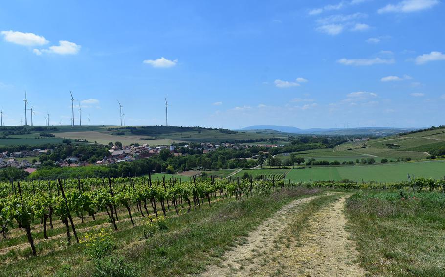 This portion of the 24-mile Zellertalweg cuts through the vineyards in the hills between Monsheim and Moelsheim in the German state of Rheinland-Pfalz.