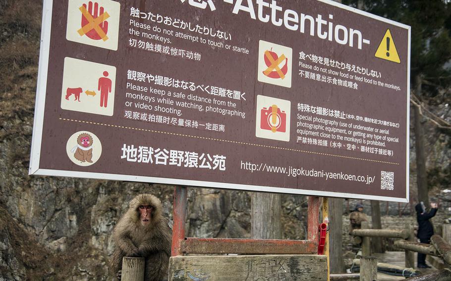 Jigokudani Monkey Park is part of the Joshinetsu Kogen National Park in the northern part of Nagano prefecture, Japan.