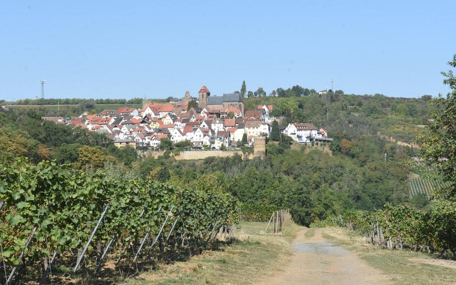 A stretch of the Pfalz Wine Trail takes hikers through the vineyards between the villages of Neuleiningen and Battenberg, Germany.