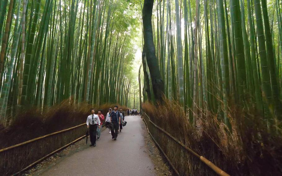A YouTuber named Rambalac strolls through a bamboo grove in Arashiyama, Kyoto, in this screenshot from one of his "Videowalks" from 2017.