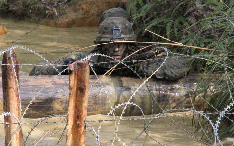 Lance Cpl. Eduardo Rodriguez of Company I's weapons platoon surveys a maze of concertina wire before it is his turn to dive in during the E-Course at Okinawa's Jungle Warfare Training Center in March 2015.


