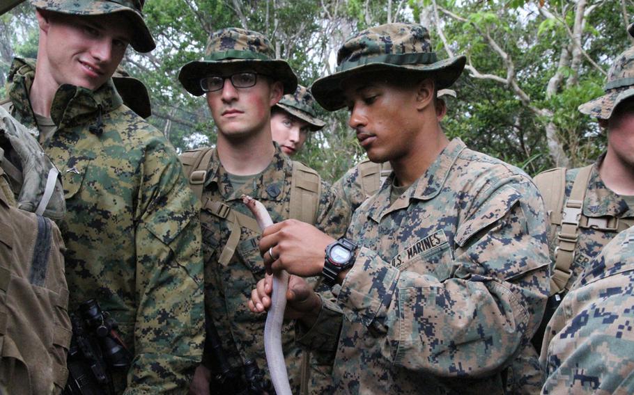 Second Platoon's Cpl. Robert Edwards-Morris holds the body of a still wriggling poisonous habu snake. The Marines were taking part in jungle survival training for at Okinawa's Jungle Warfare Training Center in Marc 2015.

