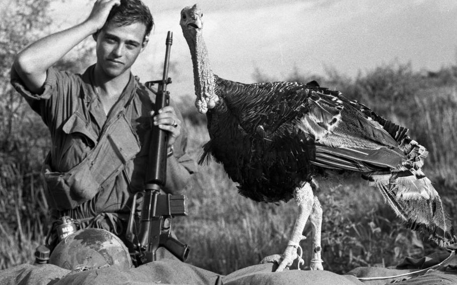 Staff Sgt. Raymond Scherz of Addison, Ill., seems to be pondering the best way to convert this feathered visitor to C Company, 2nd Battalion, 39th Infantry, 9th Infantry Division, into Thanksgiving dinner at the nearby Bear Cat base camp.