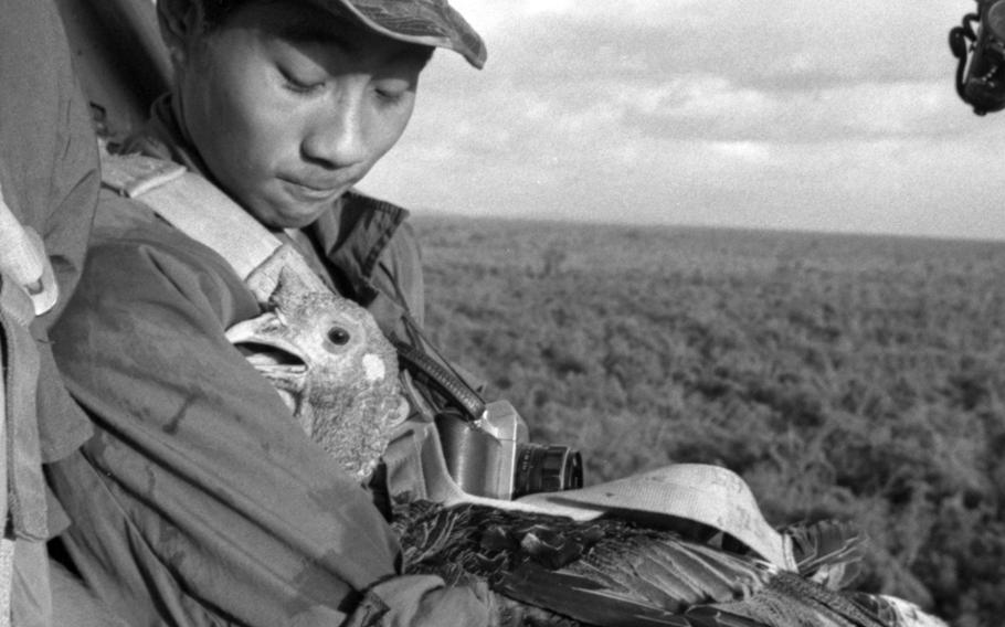 A feathered passenger gets the VIP treatment on the way to a base in Vietnam where hungry soldiers eagerly await its arrival in November, 1967.