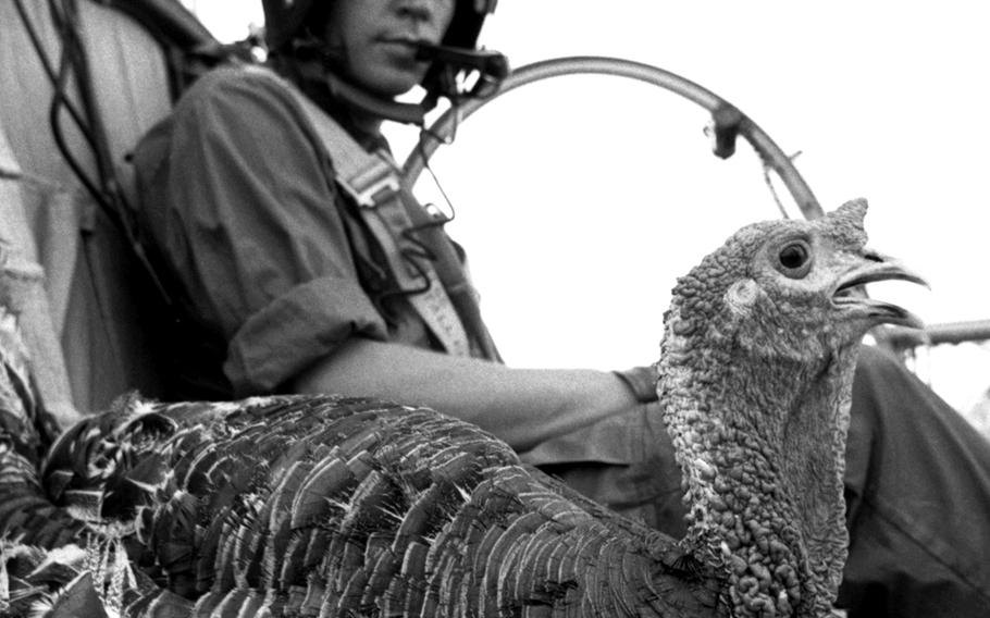 A feathered passenger gets the VIP treatment (albeit a one-way trip) on the way to a base in Vietnam where hungry soldiers eagerly await its arrival in November, 1967. The turkey was one of 57,000 sent in to provide as many as possible of the half-million U.S. servicemembers in Vietnam with the traditional holiday feast.