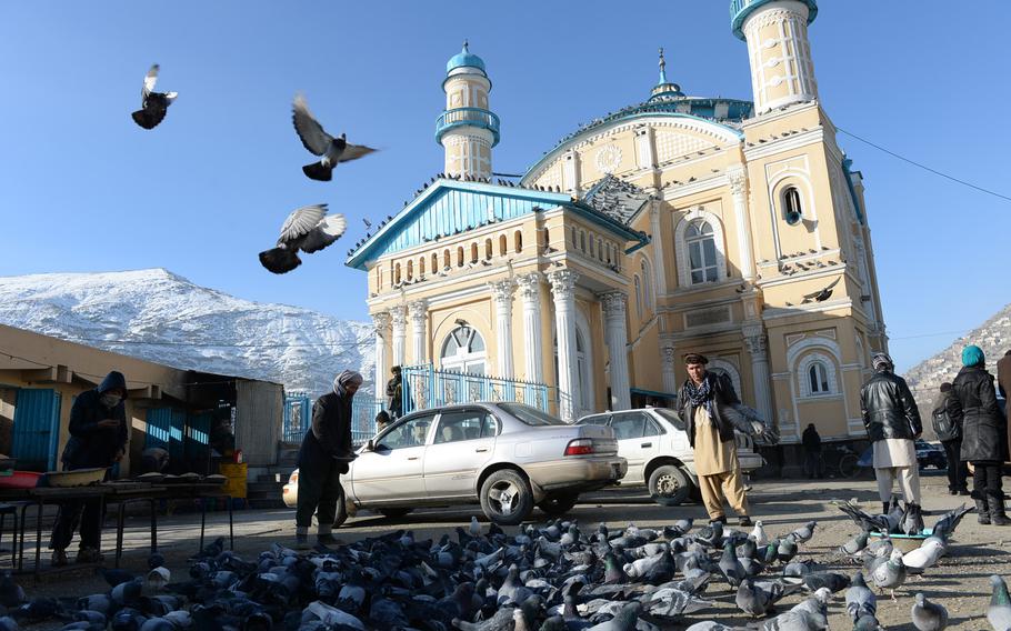 Pigeons outside the Shah-e Doshamshera Mosque, on the banks of the Kabul River, one of the capital's few remaining historic buildings.