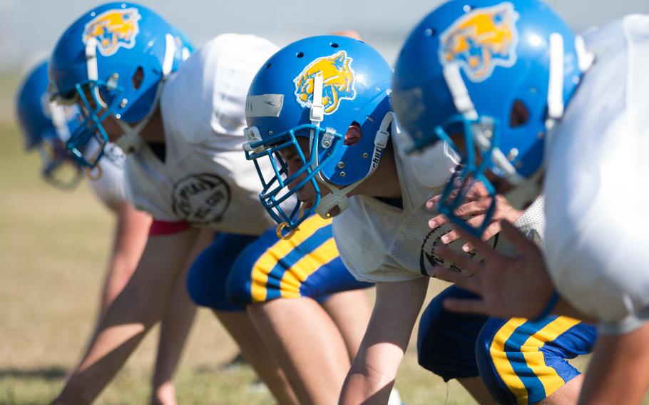 The Ansbach Cougars are heading into the 2016 season with a new head coach and the pressure of having to defend back-to-back titles. Here, the Cougars line up during a two-a-day practice on Saturday, Aug. 27, 2016 in Ansbach, Germany.