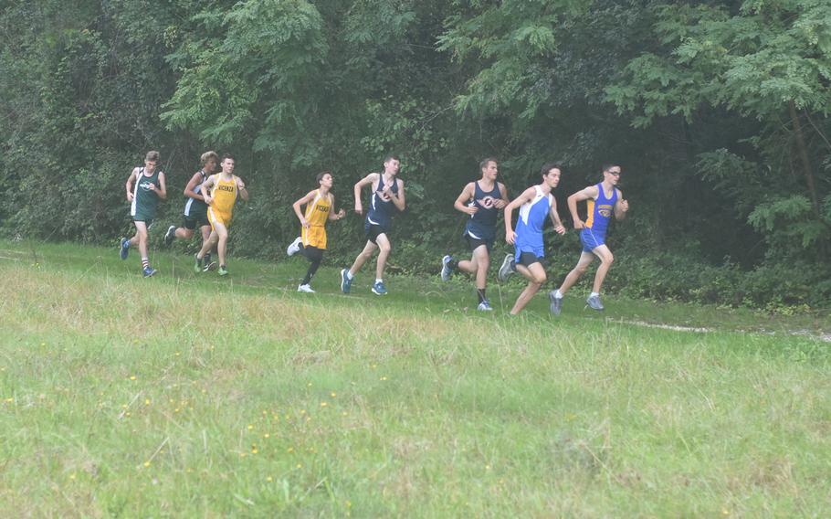 Competitors from Sigonella, Marymount, Aviano, Vicenza and Naples run in a group during the boys cross country race Saturday at Parco di San Floriano, Italy.