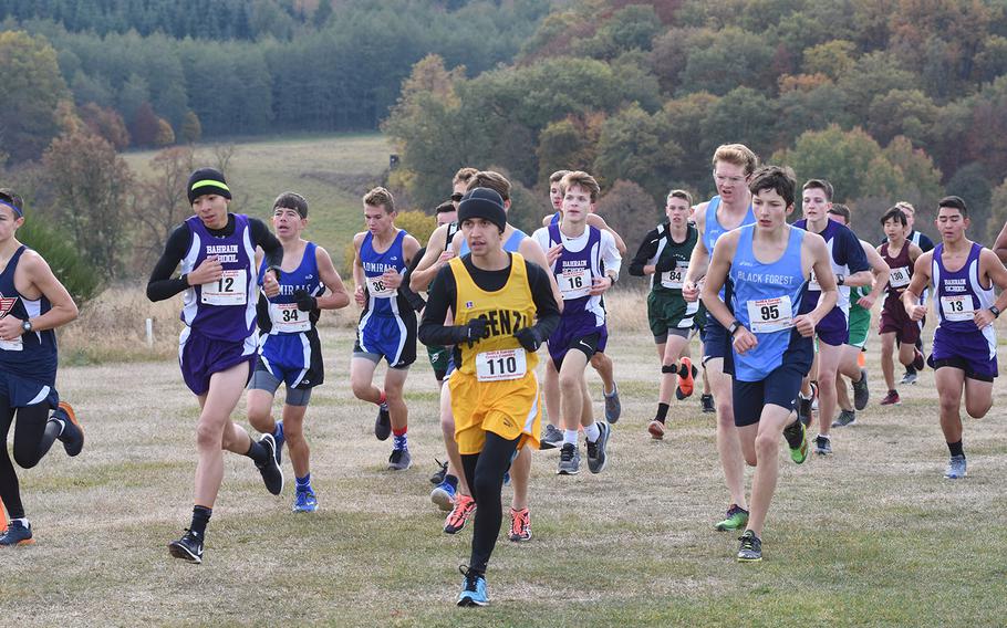 Runners take up the middle of the pack at the 2018 DODEA-Europe cross country championships on Saturday, Oct. 27, 2018, at Baumholder, Germany.
