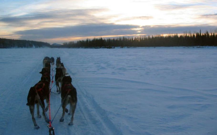 Master Sgt. Rodney Whaley&#39;s sled dogs enjoy running in evening and dark because they thrive in the coldest temperatures.