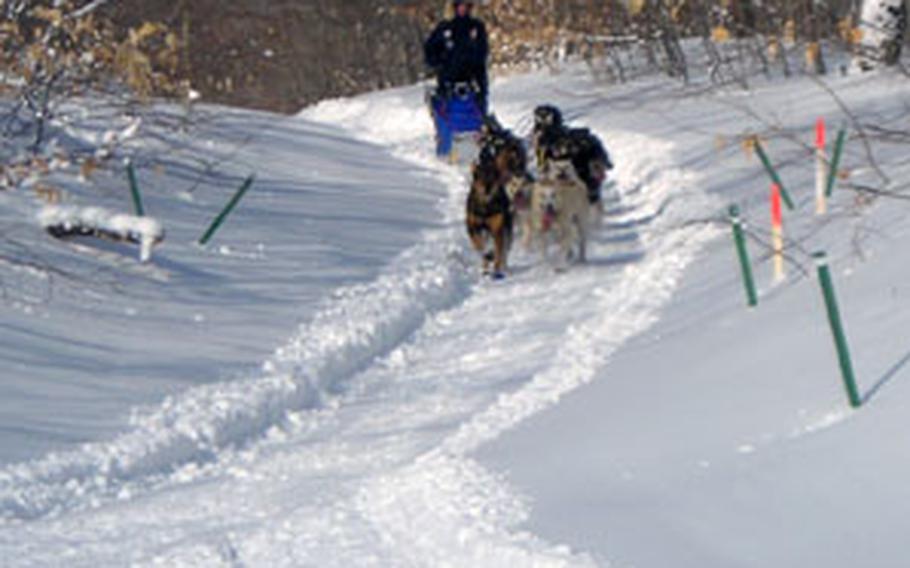 Master Sgt. Rodney Whaley mushes on the Iditarod trail.
