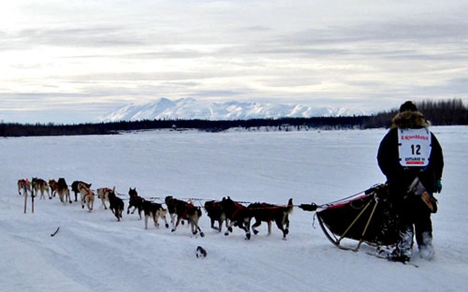 Jake Berkowitz of Anchorage heads out on the trail at the official start of the 2009 Iditarod in Willow, Alaska. In the background is Mt. Susitna.