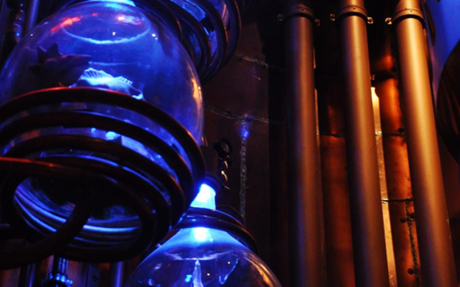 The inside of a spaceship at Sensapolis is decorated with colorful steampunk designs.  