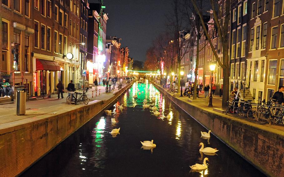 A flock of swans enjoys the waters of the Oudezijds Achterburgwal canal in Amsterdam's red-light district.