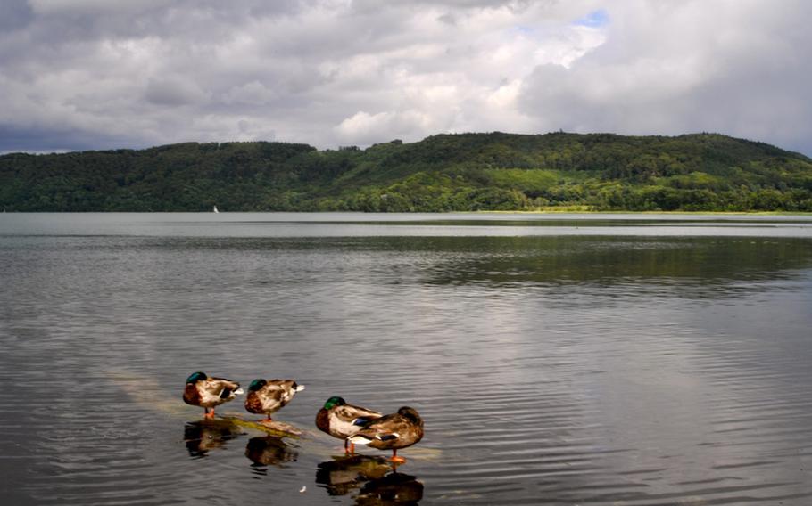 Ducks wade in the lake near the Maria Laach Abbey. The lake is the largest in the Eifel area, part of a landscape formed by settling volcanic ash. A  network of lakeside walking paths takes you through volcanic terrain (the area is known for pumice mining), orchards and woods. Boats can be rented at the lake for 5 euros per half hour. 
Seth Robbins/Stars and Stripes