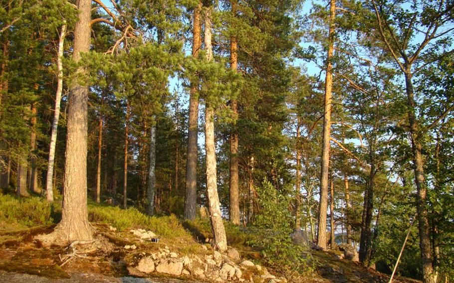 About 65 percent of Finland is covered by birch, larch, spruce or pine trees. Renting a cabin amid the country's forests means roughing it.