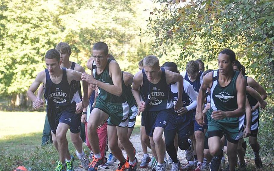 Naples and Aviano runners race from the starting line Saturday during a dual meet between the two schools on the Parco San Floriano course near Polcenigo, Italy. The Wildcats, who will be one of the team favorites next week at the DODDS-Europe championships in Germany, defeated the Saints.