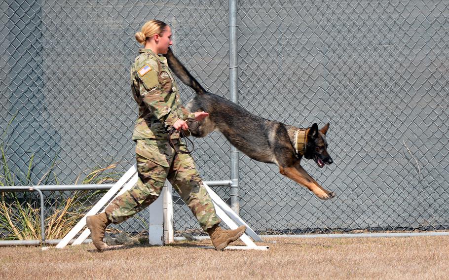Military working dog handler Pfc. Kristy Mundaniohl puts Lara through her paces in an obstacle course at Soto Cano Air Base, Honduras, March 7, 2019. Four working dogs and their handlers are deployed to the base at any given time.