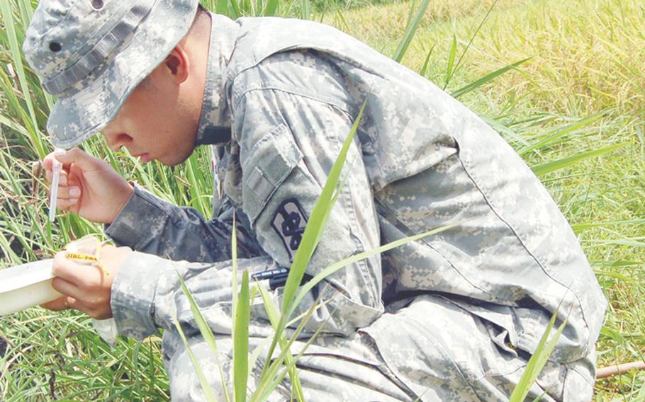 Cpl. Lee Soh-kuem  uses an eye-dropper to separate larval mosquitoes from a sample of pond water taken near Warrior Base in South Korea in this 2007 photo. Soh-Keum was working to collect mosquito specimens to help identify which areas might be home to mosquitoes carrying malaria.