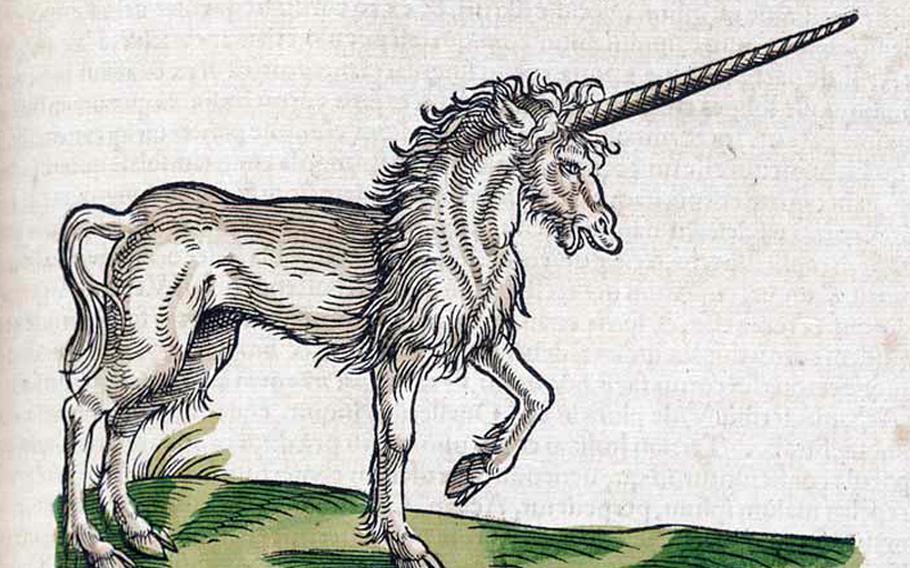 A 16th-century depiction of a unicorn by artist Conrad Gesner.