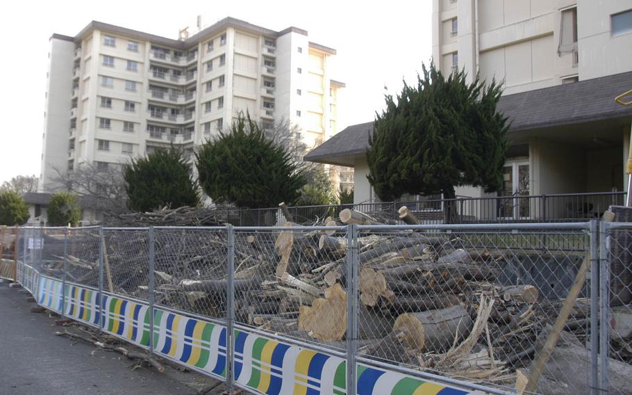 Hundreds of trees are being cut down at Yokota Air Base, Japan, but the tree population will remain plentiful, a 374th Airlift Wing spokesman said. There are more than 10,000 trees on the base in western Tokyo, and more than 100 new trees will be planted over spring and summer, he said.