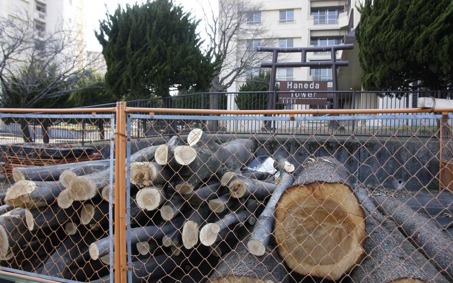 Hundreds of trees being removed at Yokota Air Base, Japan, are near the end of their life expectancy or are starting to damage housing, work buildings, electrical and sewer lines, sidewalks and drainage systems, a 374th Airlift Wing spokesman said.