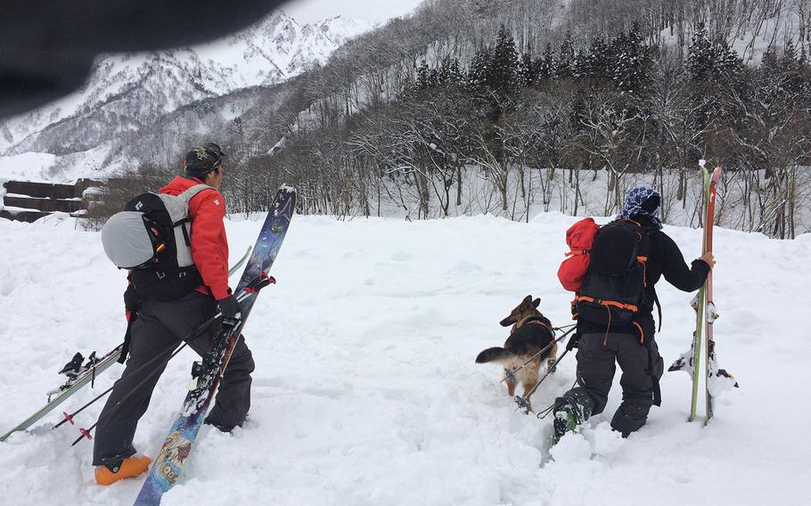 A rescue dog team arrives to search for mssing U.S. skier Mathew Healy near Happo-one Ski Resort Wednesday afternoon.

Seth Robson/Stars and Stripes