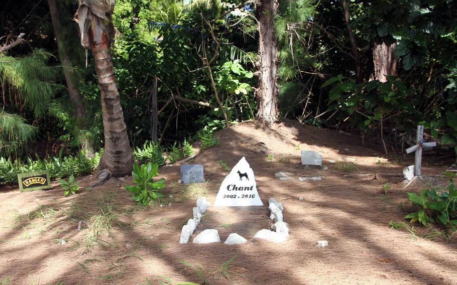 Jungle growth encroaches on an informal pet cemetery on Kwajalein Island, which has been used for decades by residents, who are allowed to bring cats and dogs to the tiny Pacific island.
