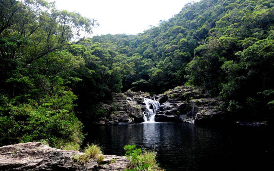 Aha Falls as seen in northern Okinawa in August 2011. The Air Force announced on Saturday, May 6, 2017, that a female airman assigned to Kadena Air Base's 18th Munitions Squadron fell and died at the falls.