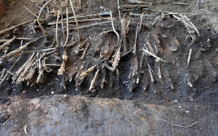 Firearms, swords and ammunition believed to be from World War II were recently discovered buried beneath an elementary school playground in western Tokyo.