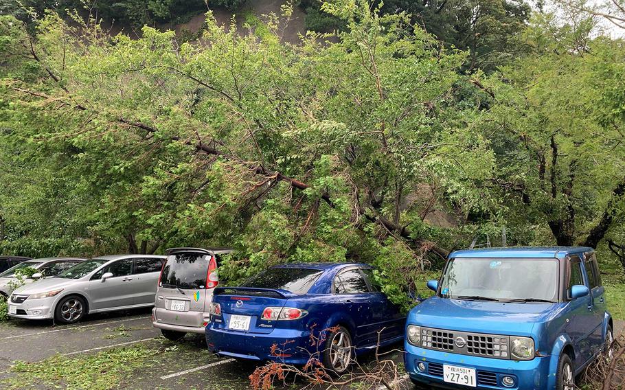 Trees downed by Typhoon Faxai shroud automobiles near Sakura Heights tower at Yokosuka Naval Base, Japan, Monday, Sept. 9, 2019. 