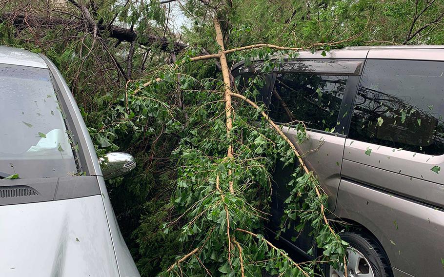 Trees felled by Typhoon Faxai cover automobiles at Yokosuka Naval Base, Japan, Monday, Sept. 9, 2019.