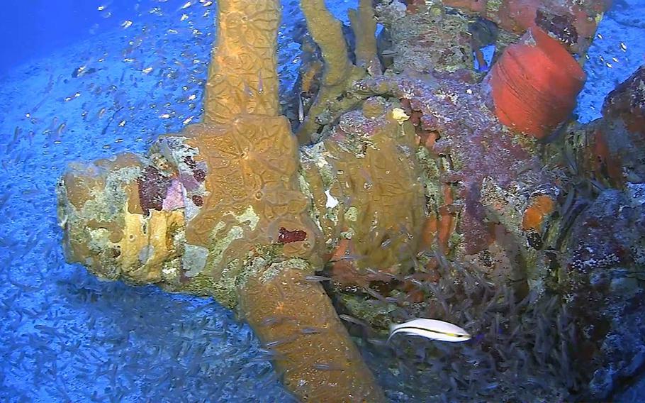 A propeller from a TBM/F-1 Avenger torpedo bomber found during a recent underwater expedition at Truk Lagoon, Federated States of Micronesia.