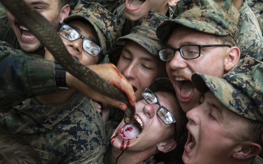U.S. Marines with Alpha Company, Battalion Landing Team, 1st Battalion, 5th Marine Regiment, drink the blood of a king cobra as part of jungle survival training during exercise Cobra Gold 2020 at Ban Chan Khrem, Chanthaburi, Thailand, March 2, 2020. 