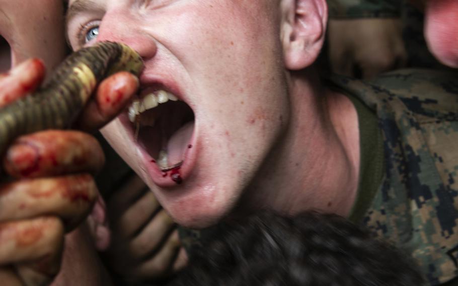 U.S. Marines with Alpha Company, Battalion Landing Team, 1st Battalion, 5th Marine Regiment, drink the blood of a king cobra as part of jungle survival training during exercise Cobra Gold 2020 at Ban Chan Khrem, Chanthaburi,Thailand, March 2, 2020. 