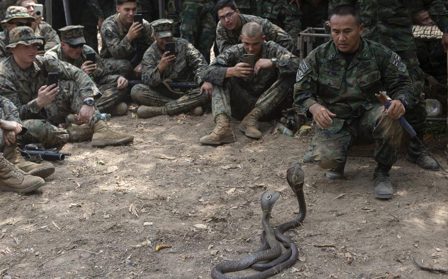 U.S. Marines get their phones out to document Royal Thai Marine Chief Petty Officer 1st Class Pairoi Prasarnsai showing them how to handle king cobras as part of jungle survival training during exercise Cobra Gold 2020 at Ban Chan Khrem, Chanthaburi, Thailand, March 2, 2020. 