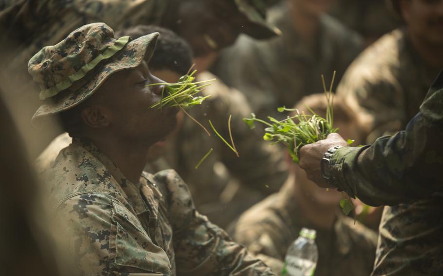 A U.S. Marine with Alpha Company, Battalion Landing Team, 1st Battalion, 5th Marine Regiment, eats plants used for survival during jungle survival training as part of exercise Cobra Gold 2020 at Ban Chan Khrem, Chanthaburi, Thailand, March 2, 2020. 