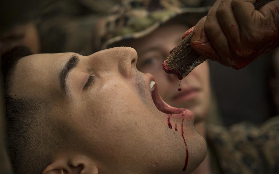 A U.S. Marine with Alpha Company, Battalion Landing Team, 1st Battalion, 5th Marine Regiment, drinks the blood of a king cobra during jungle survival training as part of exercise Cobra Gold 2020 at Ban Chan Khrem, Chanthaburi, Kingdom of Thailand, March 2, 2020.