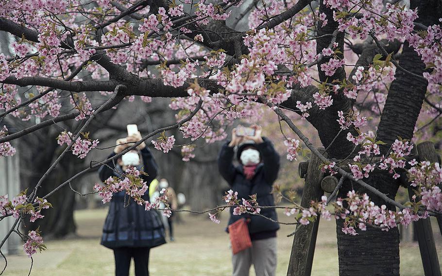 Yoyogi Park, seen here on Feb. 26, 2021, and other popular areas in central Tokyo are no longer off-limits to those stationed at Yokota Air Base, Japan. 