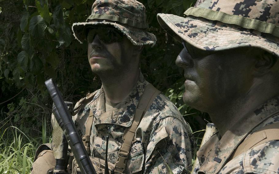 Marines watch over a hidden M142 High Mobility Artillery Rocket System, or HIMARS, during Exercise Castaway on Ie Shima, Okinawa, March 15, 2021.