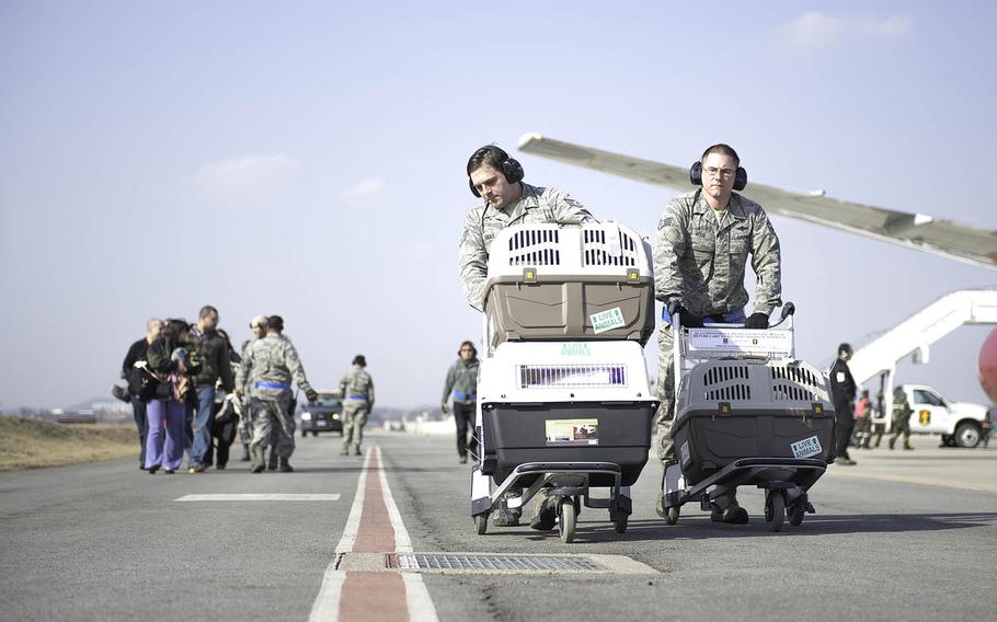 Members of the 731st Air Mobility Squadron push kennels holding the pets of Patriot Express passengers at Osan Air Base, South Korea, in May 2015. Pet transportation issues spurred the military to try out a route between Seattle and Andersen Air Force Base, Guam, in 2020.
