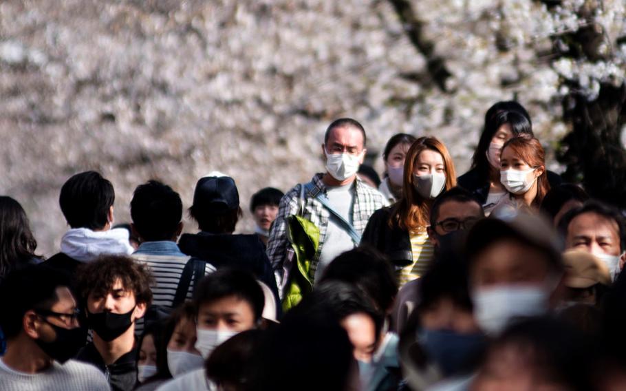 The coronavirus did not stop crowds from turning out to see cherry blossoms in central Tokyo on March  24, 2021.