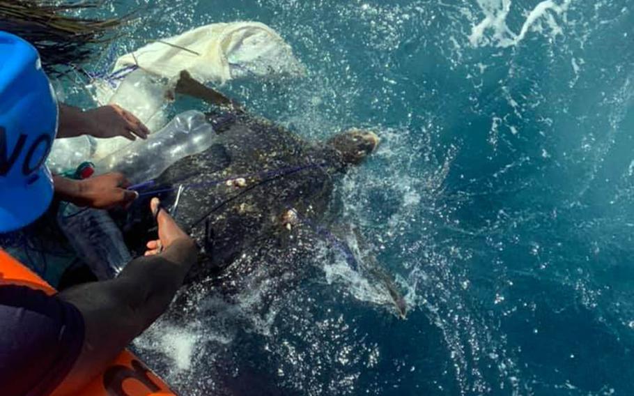 Crew members of the Coast Guard cutter Frederick Hatch rescue a sea turtle entangled in trash following a port call earlier this month on Huatulco, Mexico. 