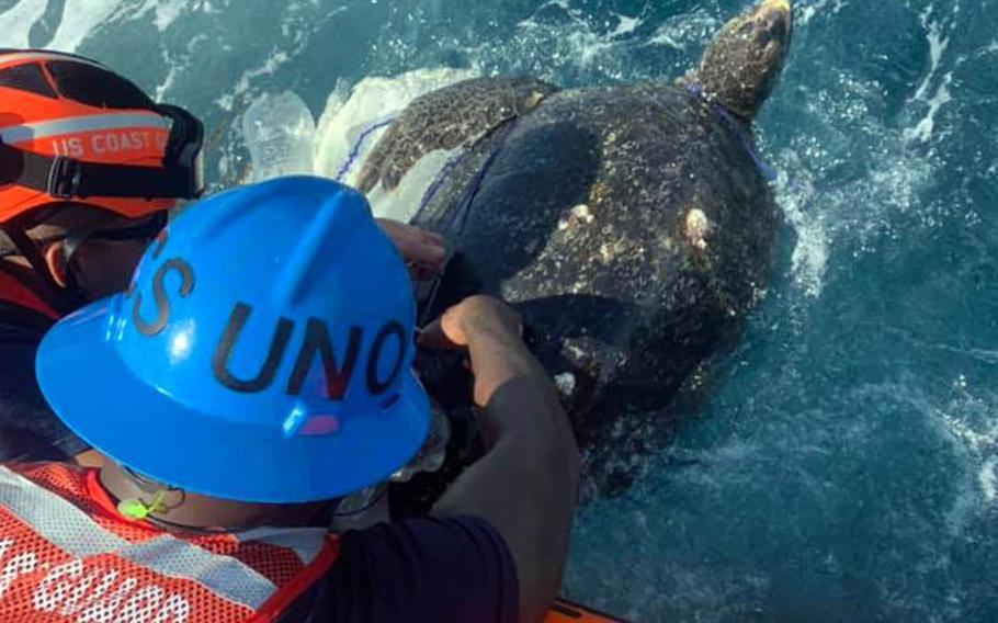 Crew members of the Coast Guard cutter Frederick Hatch rescue a sea turtle entangled in trash following a port call earlier this month on Huatulco, Mexico. 