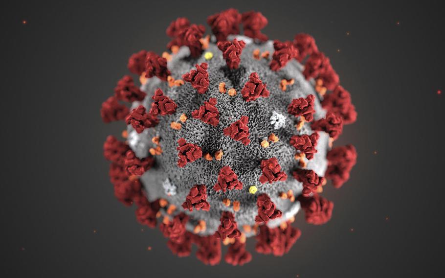 A Centers for Disease Control and Prevention illustration shows the 2019 Novel Coronavirus. This virus was identified as the cause of an outbreak of respiratory illness first detected in Wuhan, China.